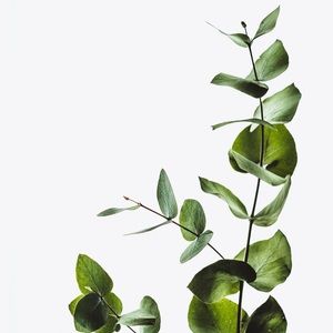 Meet your Posher, Amelia